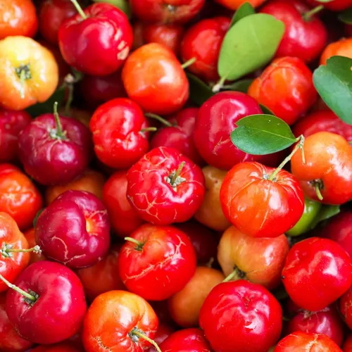 Vista 5 de Pure Original Ingredients Cereza de acerola, (100 cápsulas) siempre pura, sin aditivos ni rellenos