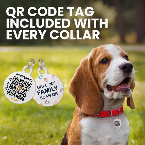 Vista 4 de Collar de perro de cuero enrollado, etiqueta QR, antienredos