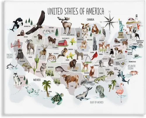 Vista 11 de Estados Unidos de América Mapa de Animales Kid's' Arte de placa de pared