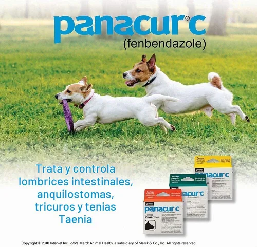 Vista 3 de Panacur C Canine Dewormer Perros 1 (3 Paquetes) Gramo Cada paquete trata 10 libras