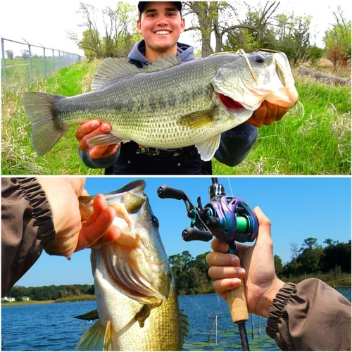 Vista 7 de Sougayilang Baitcasting Fishing Rod Reel Combo,2 Pieces Medium Heavy Baitcasting Pole with High Speed Casting Reel Baitcaster Combo