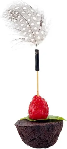 Vista 12 de Restaurantware Palillos de dientes de fiesta de 4 pulgadas, 500 pinchos decorativos, desechables, biodegradables, palillos de cóctel peludos