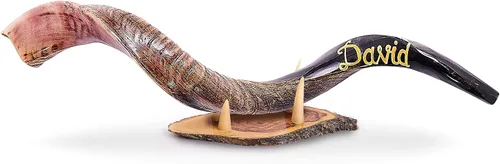 Vista 2 de Nombre personalizado, Shofar de cuerno Kudu prémium de Israel, juego medio pulido
