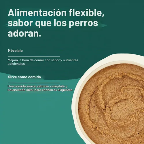 Vista 7 de Jinx Premium Comida Húmeda para Perros en Lata - Paté de Carne - Comida enlatada para perros sin granos con ingredientes reales y sin rellenos