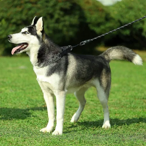 Vista 6 de Collar de punta para perro, collar de entrenamiento ajustable para perros con hebilla de liberación rápida para perros pequeños, medianos y grandes