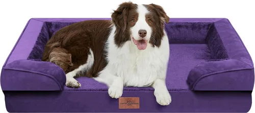 Vista 47 de Comfort Expression - Cama ortopédica para perros medianos, 28 x 19 pulgadas, cama impermeable y de apoyo de espuma con cojines removibles, sofá