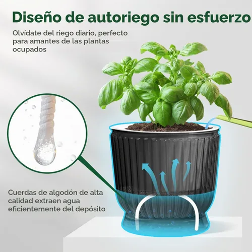 Vista 4 de T4U Self Watering Pots for Indoor Plants 4 Inch 4 Pack Planter Gray gris (Translucent Gray)