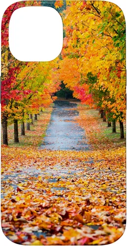 Vista 4 de iPhone 11 Otoño Hojas - Hermoso estuche de arboles