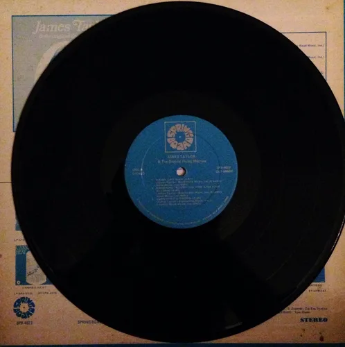 Vista 3 de James Taylor and the Original Flying Machine