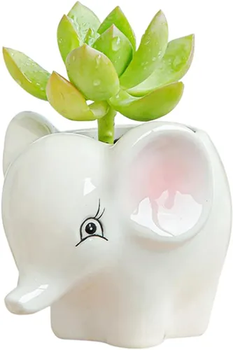Vista 2 de DIYOMR Bonita maceta de cerámica de animales, maceta pequeña para suculentas, maceta con forma de dibujos animados para plantas pequeñas, cactus