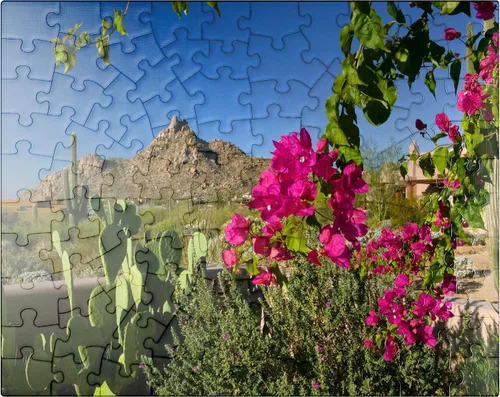 Vista 8 de MyPuzzle Bougainvillea with Pinnacle Peak, Scottsdale, Arizona, Estados Unidos, rompecabezas prémium de 500 piezas para adultos