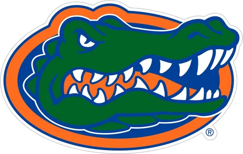 Vista 3 de NCAA, imán con logotipo, 8 pulgadas