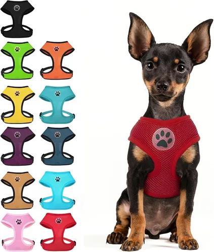 Vista 22 de BINGPET Arnés para perro sin tirones, arnés de chaleco tipo step-in de malla para todo clima para perros pequeños, arnés de malla transpirable