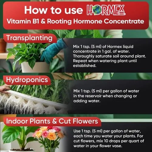 Vista 4 de Hormex Concentrado de hormona líquida de enraizamiento con B1 - Estimulador de crecimiento de raíces para plantas fuertes y saludables - Previene