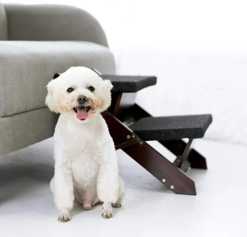 Vista 9 de MEWANG - Escaleras de madera para mascotas/escalones para mascotas, escaleras plegables 2 en 1 y rampa para camas y autos, escalera portátil