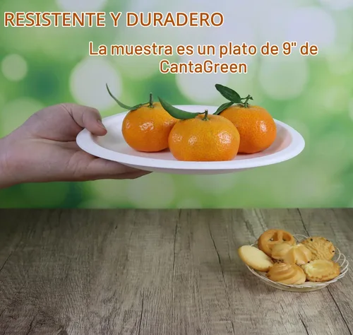 Vista 2 de CantaGreen Platos de postre pequeños compostables de 6 pulgadas, 100 platos de papel desechables biodegradables de caña de azúcar/bagazo y fibra