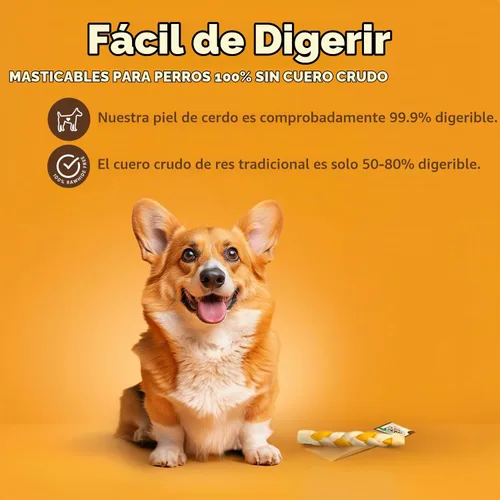 Vista 2 de Pork Chomps Piel de Cerdo Asada para Perros para Masticación, Trenza de 8 Pulgadas, Sabor a Mantequilla de Cacahuete, 1 Unidad (Paquete de 3)