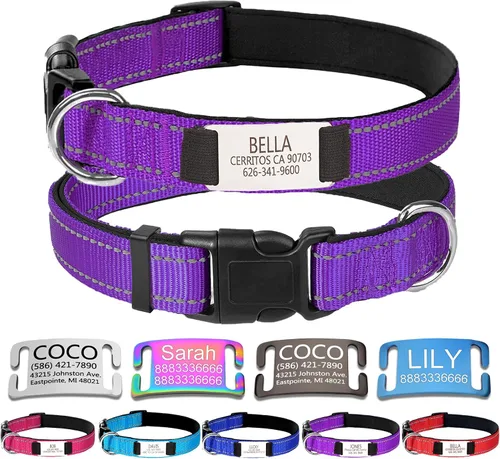 Vista 12 de Collar de perro de nailon personalizado con placa de nombre grabada, S, negro Custom engraved name & phone; reflective stitching, adjustable