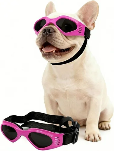 Vista 8 de Gafas de sol para perros de raza media, lentes reemplazables transparentes/negras, protección UV para perros medianos, protección ocular de perro