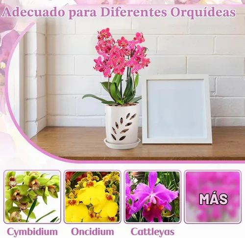 Vista 8 de Olla de orquídea de cerámica Aulock de 4 pulgadas con agujeros de drenaje