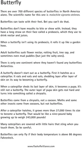Vista 3 de Tarjetas flash de insectos con datos divertidos