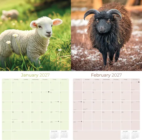 Vista 435 de Calendario de grises africanos 2025 2026 – Planificador mensual de pared de aves africanas – 12 x 18 pulgadas (abierto), calendario de pared