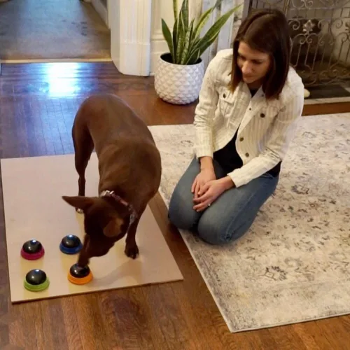 Vista 4 de Hunger for Words Set de Inicio de Botones Parlantes - Botones Grabables para Enseñar a Tu Perro a Comunicarse, Juegos de Entrenamiento para Perros