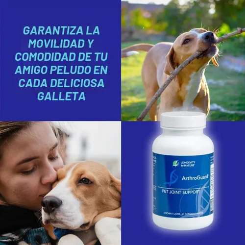 Vista 4 de Salud de las articulaciones animales: para mascotas y caballos-Colágeno tipo II Plus H.a