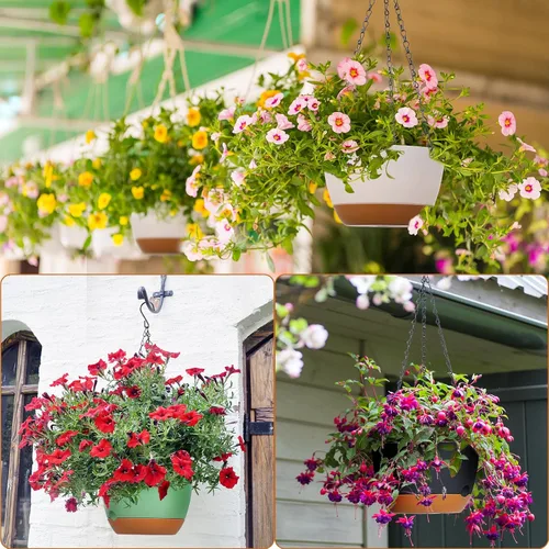 Vista 6 de Mumufy 6 macetas colgantes de 8 pulgadas para plantas de interior y exterior, macetas colgantes de plástico con orificio de drenaje y platillo