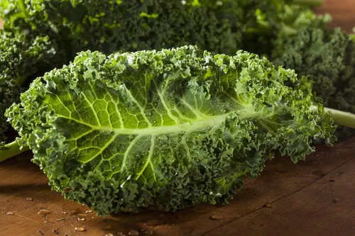 Vista 8 de Semillas de col rizada Tipo arbusto de hoja vegetal de col verde para plantar semillas gigantes sin OMG 200