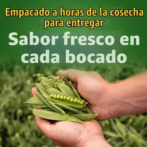 Vista 4 de Del Monte Guisantes dulces enlatados, lata de 15 oz