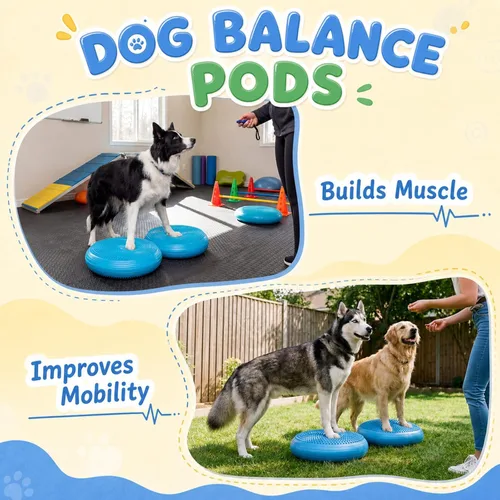 Vista 6 de Chalyna 6 cápsulas de equilibrio para perros con bomba de mano, incluyendo 2 discos de almohadilla equilibrada, 4 bolas de masaje con pinchos