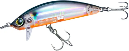 Vista 13 de Minnow de superficie costera 3D