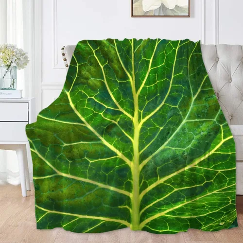 Vista 36 de Manta de frijoles horneados 3D para niñas, niños, suave y acogedora manta de vellón divertida para cama, sofá, sillas, para todas las estaciones