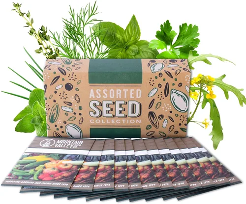 Vista 8 de Surtidos de hierbas culinarias, medicinales y té de hierbas (surtido básico, de lujo y prémium)