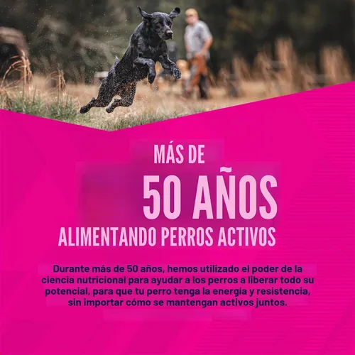 Vista 14 de Comida para perros seca EUKANUBA Senior