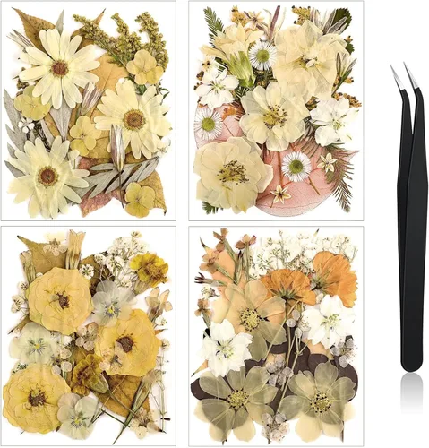 Vista 21 de Nuanchu Flores secas prensadas negras para manualidades, flores secas góticas, flores silvestres prensadas naturales a granel con pinzas para molde