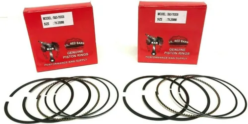 Vista 2 de Kit de reparación compatible con motores Briggs & Stratton V Twin, válvulas superiores, anillos 793561, 792026 y juntas para motores Intek