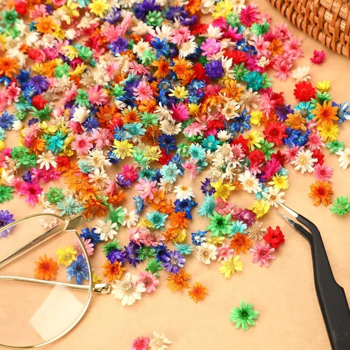 Vista 4 de MARFOREVER 420 piezas de flores secas pequeñas para manualidades, mini