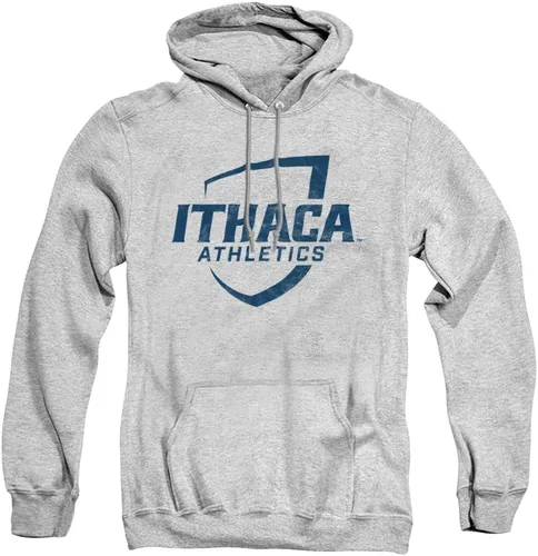 Vista 95 de Distressed College Primary Logo Adult Pullover Hoodie Collection 1 Universidad Estatal de Albany