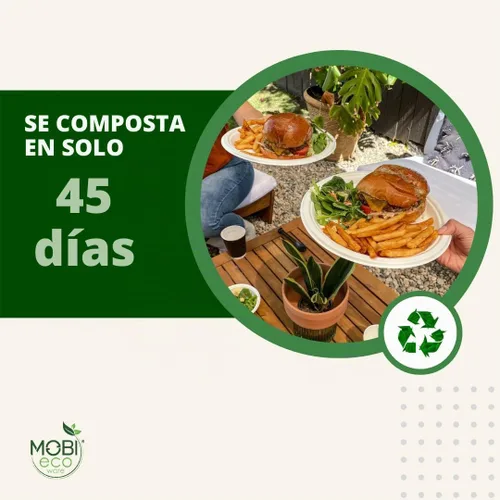 Vista 5 de Platos de papel, 100 % compostables, 10 pulgadas por 0.5 pulgadas de profundidad, plato desechable resistente, certificado (BPI), sin (PFAS)