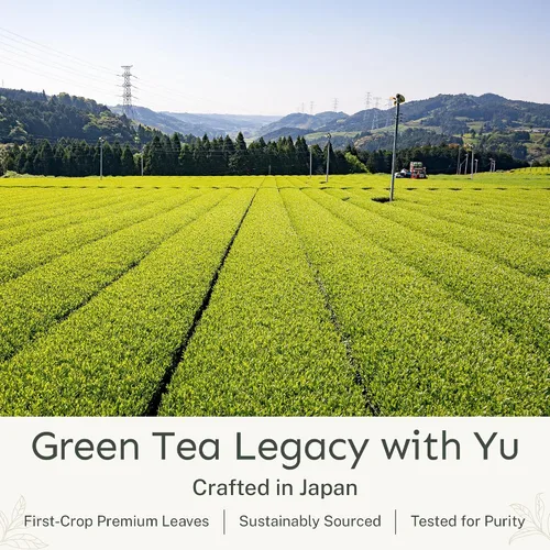 Vista 5 de Yu Tea Decaf Organic Sencha Green Tea Powder, 100 porciones, rico en antioxidantes, EGCG y L-teanina, hoja japonesa pura de la primera cosecha, sin