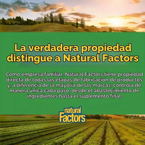 Vista 7 de Natural Factors, Cúrcuma y bromelina 450 mg, apoyo muscular y articular, 90 cápsulas