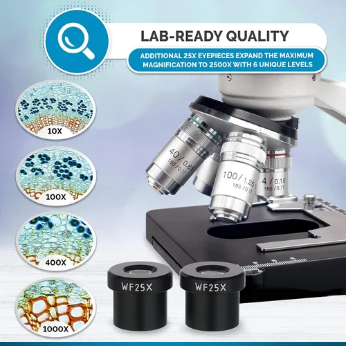 Vista 3 de AmScope 40X-2500X Microscopio Binocular Compuesto LED etapa mecánica de doble capa + libro (idioma español no garantizado) + 100 cubreobjetos y 50