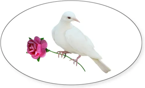 Vista 17 de CafePress Pegatina rectangular de espíritu santo para parachoques de coche ovalada Blanco - Pegatina Rectángulo Espíritu Santo