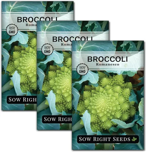 Vista 8 de Sow Right Seeds - Semillas de brócoli Romanesco para plantar - Paquete de reliquia sin OMG con instrucciones para plantar un huerto doméstico al