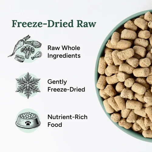 Vista 3 de 360 Pet Nutrition Alimento crudo liofilizado para perros – Receta de carne de res con hígado y órganos, alta proteína con omega-3, frutas, verduras