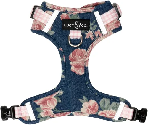 Vista 25 de Lucy & Co. Appley Ever After - Arnés de pana para perro, sin tirones, talla Appley Ever After Corduroy