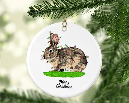 Vista 2 de Adorno de Navidad de conejo, adorno de decoración de árbol de Navidad, regalo de recuerdo de conejo, adorno de cerámica, regalo para amantes