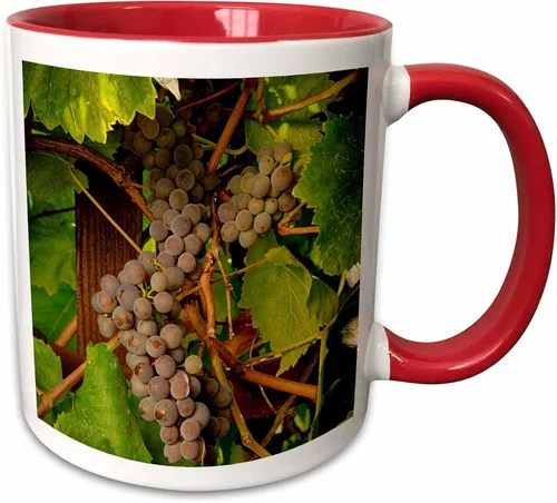Vista 7 de 3dRose Danita Delimont – Vineyards – Estados Unidos, Oregón, Keizer, Pinot Gris Vineyard – US38 RBR0729 – Rick A Brown – Tazas, Negro/Blanco